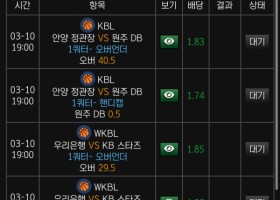 레고 사이트 후기