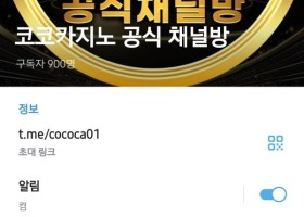 코코카지노 먹튀