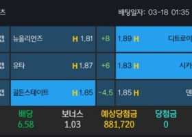 알파카지노 후기