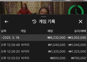 알파카지노 후기