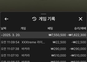 알파카지노 후기