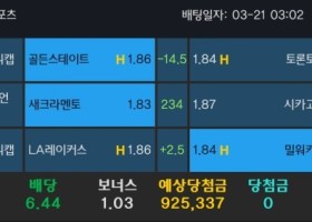 알파카지노 후기