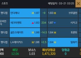 알파카지노 후기