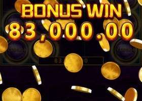 비제휴 테슬롯 후기