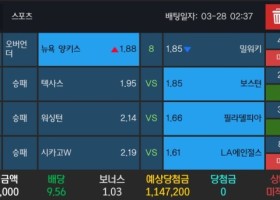 알파카지노 후기