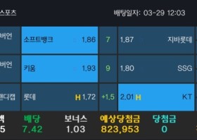 알파카지노 후기