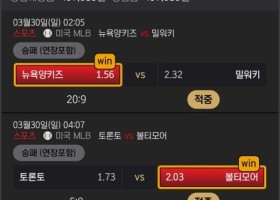 범퍼카 이용후기