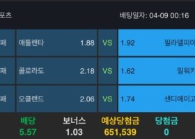 알파카지노 후기