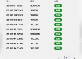 비제휴 버디 후기