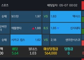 알파카지노 후기