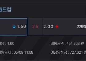 알파카지노 후기