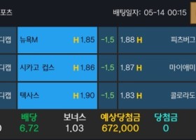 알파카지노 후기