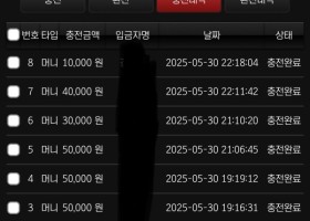 쇼미더벳 이용 후기