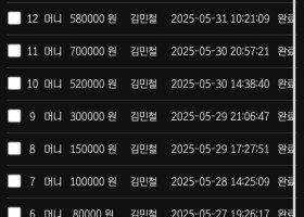 보스 사용 후기