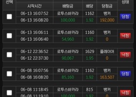 5년쓴 돌직구벳