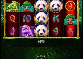 알파카지노 후기