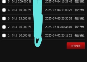 스피드 이용후기