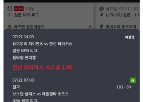 라쿤이라는곳들어보셨나요