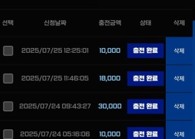 비제휴 하이벳 후기