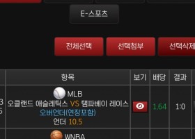 오늘도 부자벳 후기❤️