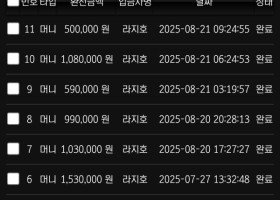 차무식 벳 후기요