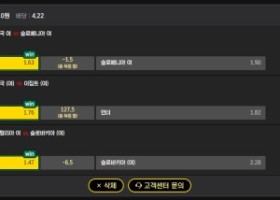 제휴 손오공 후기