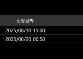 볼트카지노 후기입니다