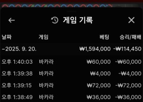 뉴헤븐카지노후기