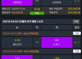 벳클라우드 후기