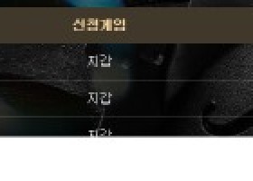 비제휴 메가후기