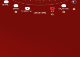 소닉카지노 후기