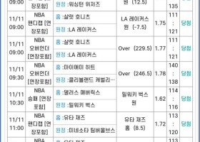 느바 올킬8폴 ㅅㅅㅅ