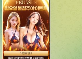 페가수스 후기입니다