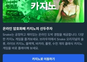 스네이크 후기