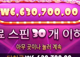 원더 슈가러쉬 6630배 대승 후기 .........