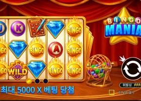빙고 매니아