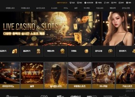 디스 먹튀 확정