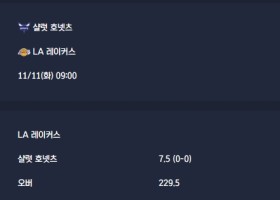 2025-11-11 [NBA] 샬럿 호넷츠 VS LA 레이커스 분석