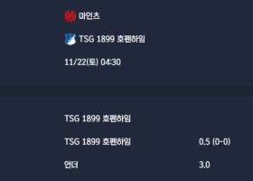 2025-11-22 [Bundesliga] 마인츠 VS TSG 1899 호펜하임 분석