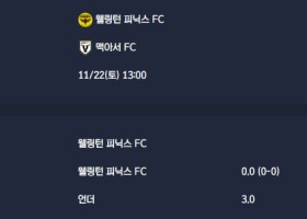2025-11-22 [A-League] 웰링턴 피닉스 FC VS 맥아서 FC 분석