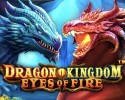 드래곤 킹덤 아이즈 오브 파이어