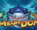 메가 돈
