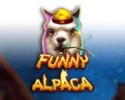 퍼니 알파카