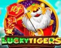 럭키타이거즈