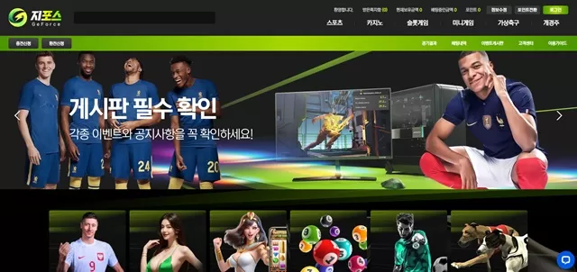 지포스 먹튀 확정