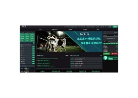 놀자 먹튀 확정