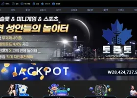 토론토 먹튀 확정