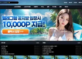 팔라완 먹튀 확정