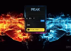 피크 먹튀 확정