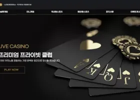 디스벳 먹튀 확정